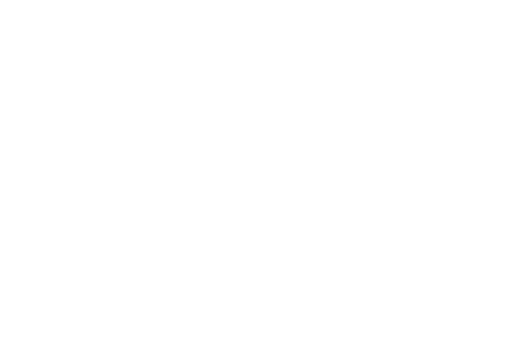 Dream Play